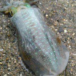 おはようございます！❤